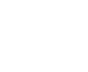 HORINOMISE